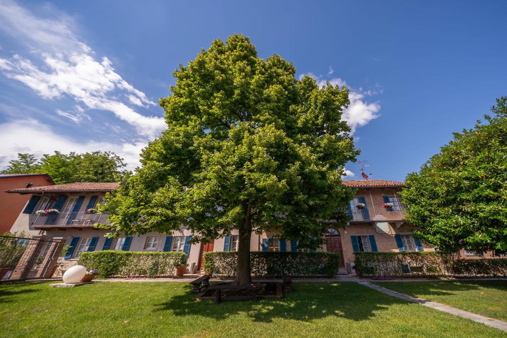 La Madernassa Resort - Casalora Dimora Storica Di Charme Guarene Buitenkant foto